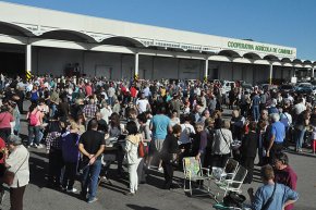 La Festa de l'Oli Nou bat rècords d'assistència i serveix 1.700 esmorzars