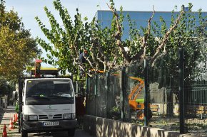 L'Ajuntament de Cambrils traurà a concurs la concessió del servei de jardineria