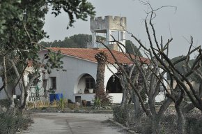 Els ossos localitzats en una fossa sèptica a Cambrils podrien ser de la parella de la propietària desaparegut fa 20 anys
