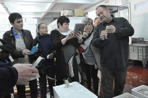 Les galeres, de la llotja a la cuina
