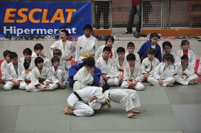 El pavelló municipal acull la I Festa del Judo