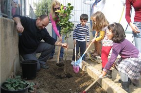 Els alumnes de l'escola Marinada celebren el Dia de l'Arbre
