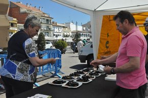 Les Jornades del Romesco serveixen prop de 3.400 menús durant la campanya