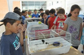 L'escola Joan Ardèvol munta un zoo solidari amb un centenar d'animals