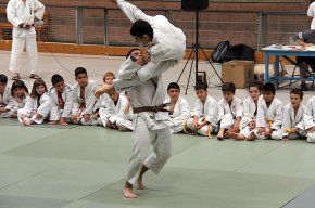 El Club Escola de Judo Cambrils tanca la temporada amb una festa de final de curs