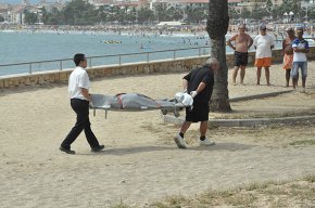 Un home de 46 anys, primera víctima mortal d'enguany a les platges cambrilenques