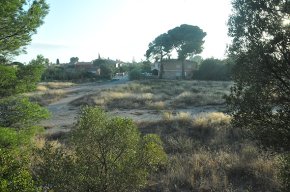 Queixes dels veïns de la Llosa per l'estat d'abandó d'un solar que connecta els carrers Nards i Avellaners
