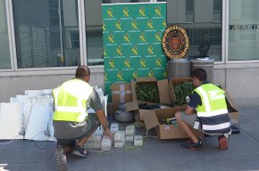 La Policia Local i la Guàrdia Civil intervenen 83 plantes de marihuana a Cambrils