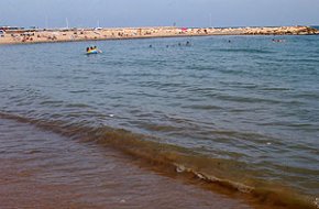 Un vessament incontrolat de petroli embruta de quitrà diferents platges de Cambrils 