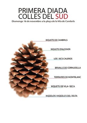 Cambrils acollirà la Primera Trobada de Colles castelleres del Sud