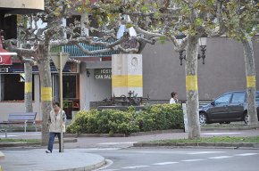Ciutadans demana a l'Ajuntament que retiri "la publicitat de la campanya del 9N" en referència als embolcalls grocs