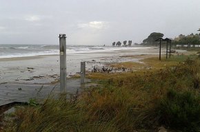 El Ministeri de Medi Ambient inverteix 600.000 euros per regenerar el litoral tarragoní
