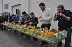 Les festes de Sant Antoni enceten el seu programa d'actes aquest cap de setmana