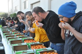 Fred i festa es donen la mà en el primer cap de setmana d'actes de la festivitat de Sant Antoni