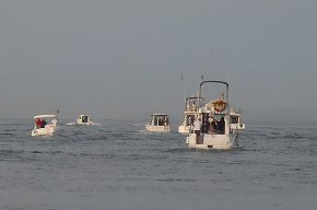La secció de Pesca del Club Nàutic organitza, diumenge, l'activitat "Pescadors de canya per un dia. Tastets de pesca des dembarcació"