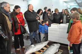 La galera, de producte minoritari i desconegut a ingredient estrella de la gastronomia cambrilenca
