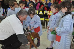 La protectora d'animals L'última llar fa un taller de civisme amb els alumnes de P4 del col·legi Cardenal Vidal i Barraquer