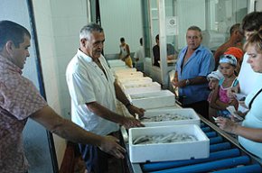 Ports de la Generalitat adjudica a la Confraria de Pescadors la concessió per a l'explotació de la llotja