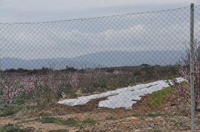 La Unió de Pagesos es mobilitza contra la nova Política Agrària Comuna amb retallades de 2,4 milions d'euros anuals al Camp de Tarragona