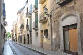 Veïns i comerciants demanen una revitalització i reforma del carrer de l'Hospital