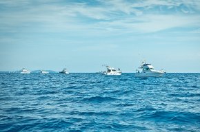 Lembarcació "Chiito" de Gerard Benítez guanya el 5è Trofeu Portman Nautic Concurs de Pesca del Bonítol