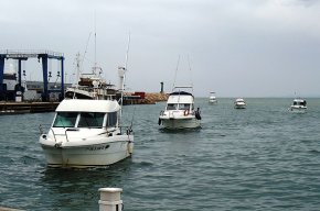 El litoral cambrilenc acull la tercera prova del Concurs de Pesca al Curricà - Torneig Interclubs Costa Daurada