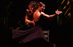 L'organització del Festival Internacional de Música es mostra satisfeta dels resultats obtinguts enguany