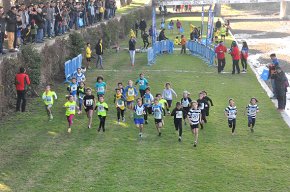 El Trofeu Salceda i Castells d'atletisme arriba a la seva cinquantena edició 