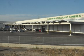 La Cooperativa Agrícola retornarà poc més del 46% dels imports retinguts a partir del 5 d'agost 