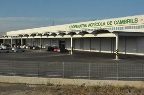 La diputada de CSQEP Hortènsia Grau formula preguntes sobre la Cooperativa Agrícola al govern de la Generalitat