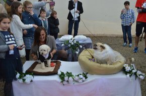 La Danka i el Gosset s'uneixen en un enllaç matrimonial molt peculiar
