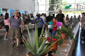 L'escola Joan Ardèvol es converteix en un jardí botànic per un dia 