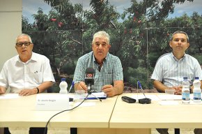 La Cooperativa Agrícola ha retornat més de 10 milions d'euros en tres dies 