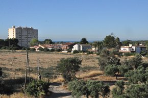 L'adobament de terrenys agrícoles amb purins provoca les queixes dels veïns de ponent