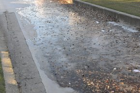 L'onada de fred siberià es fa notar a Cambrils