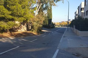C's demana l'arranjament del carrer de Jerez i de l'avinguda de Mas d'en Bosch malmesos per les arrels de l'arbrat