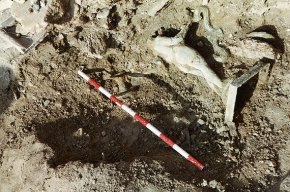 Els bronzes de la Llosa, 25 anys després d'una descoberta excepcional