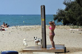 Cambrils és un dels cinc municipis tarragonins amb platja per a gossos