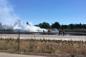 Un incendi crema 30 metres quadrats de vegetació del mig de l'autopista