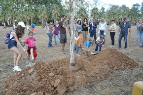 La palma indiana del Parc Samà, símbol de turisme sostenible en el Dia Mundial del Turisme