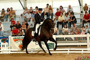 Es presenta al Sicab de Sevilla la propera edició de la Fira del Cavall de Cambrils