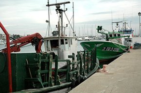 Les barques de l'encerclament de Cambrils inicien dos mesos d'aturada biològica