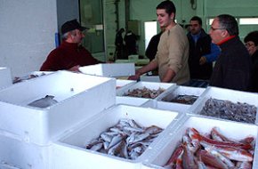 Durant el 2006 la Confraria de Pescadors va capturar prop de 250.000 quilos més de peix que l'any anterior