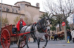 Els actes de la festivitat de Sant Antoni apleguen molta participació