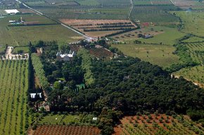 El TSJC emet una nova sentència favorable als interessos de Med Group en el projecte immobiliari del Parc Samà