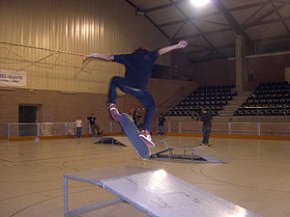 42 skaters participen en el II Concurs de salts i trucs d'skate de la quarta edició del Viudnit
