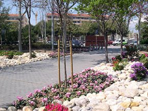L'Ajuntament realitza millores en el sistema de reg i en la jardineria del Parc del Pescador
