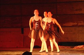 La companyia cambrilenca Aire Dansa va obrir ahir a la nit el programa d'actes "Estiu festiu"