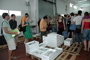 Un grup d'estudiants de la Universitat de Parma visita Cambrils per conèixer els productes gastronòmics de la zona