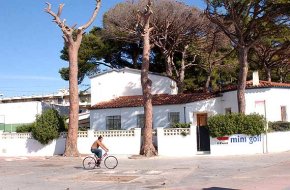 Una veïna denuncia que s'hagin deixat morir sis pins centenaris al passeig litoral del Cap de Sant Pere